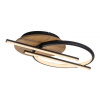 Rabalux ARASH LED stropné svietidlo 71404