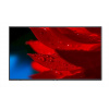 SHARP/NEC LFD 43