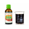 OŘEŠÁK ČERNÝ (americký) oplodí - kapky Duše rostlin 50 ml - bylinné kapky (tinktura) 50 ml BYLINNÉ KAPKY S.R.O.