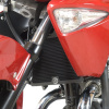 Ochranná mřížka chladiče černá - Suzuki Inazuma 250