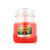 Yankee Candle Classic Medium Jar Candles vonná sviečka 411 g The Last Paradise
