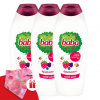 Kúpeľ na detskú sprchu Fruity Garden 3x750ml + darčeková detská turbína Baba