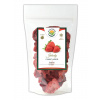 Salvia Paradise Jahody plátky sušené mrazom - lyofilizované 15 g