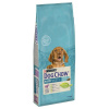 Purina Dog Chow Puppy jahňacie 2×14 kg krmivo pre psov