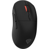 Genesis ZIRCON XIII NMG-2089