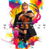 Garrett David - Millennium Symphony [CD]