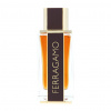 Salvatore Ferragamo Ferragamo Spicy Leather, Parfumovaná voda 100ml - Tester pre mužov