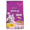 Whiskas Dry Junior Chicken 300g