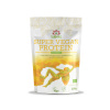 Super Vegan 70% Protein BIO 250 g ISWARI
