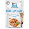 Brit Care Fillets in Jelly with Turkey&Shrimps 85g