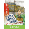 E-kniha Ryba mimo vodu – jak Amík plavat mezi Čecha - Jon Davis