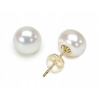 Biele perly 8-9 mm - klasické zlaté náušnice (Biele perly 8-9 mm - klasické zlaté náušnice)