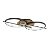 Rabalux ARASH LED stropné svietidlo 71403