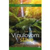 V nulovom stave - Vitale Joe