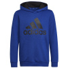 Sweatshirt adidas Big Logo Essentials Hoody Jr HN1912 (116857) Black 128 cm