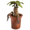 Figúrka The Noble Collection Harry Potter Mandragora