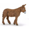 OSOL POITOU - Poitou donkey - PAPO - 51168