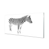 Nástenný panel maľované zebra 100x50 cm