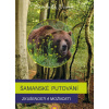 Šamanské putování - Zkušenosti a možnost - Šamanka Namu