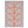 Outdoorový koberec Orla Kiely Giant Linear Stem persimmon 460703 Brink & Campman 250 x 350