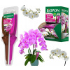BOPON DUO PRE ORCHIDEJE ELIXÍR 36x (BOPON DUO PRE ORCHIDEJE VYŽIVUJE A REGENERUJE BIOPON APLIKÁTOR ELIXÍR 36x)