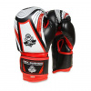 Boxerské rukavice DBX BUSHIDO ARB407v2 6 oz.
