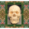 PAINKILLER - Samsara (CD)