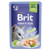 Kapsička Brit Premium Cat Delicate Fillets in Jelly with Trout 85 g