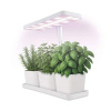 LED GROW pestovateľská lampa 7 W, časovač, stmievateľná lampa, biela (Z7904)
