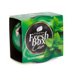 Osviežovač vzduchu - Paloma Fresh box - Peppermint - 25 g