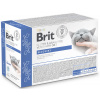 Brit Diety (VAFO Praha s.r.o.) Brit Grain & Gluten-Free VD Cat Pouch fillets in Gravy Recovery 12x85g