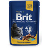Brit Premium Cat Chicken & Turkey kapsičky 24 x 100 g