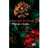 Přízrak v hrdle - Doireann Ní Ghríofa