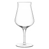 LUIGI BORMIOLI Birrateque na pivo Beer Tester 42 cl| TOM, BG-11808-6