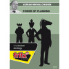 ChessBase Power of planning, Adrian Mikhalchishin - verzia na stiahnutie (anglicky)