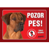 Juko Plastová tabuľa Pozor Pes Rhodéský Ridgeback 21 x 14,7 cm