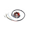 SIMSON 8305.2/2-100 12V 42/21W stator