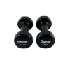 Vinylové činky Master 2x 2,5 kg 2 ks
