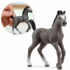 13957 Schleich Horse Club Žriebä plemena selle francais, figúrka pre deti 5+