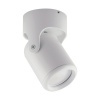 STRÜHM Stropné svietidlo DOMEN GU10 WHITE 3539