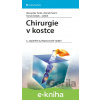E-kniha Chirurgie v kostce - Vlastimil Kastner, Jan Ondřej