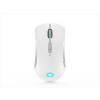 Lenovo Legion M600 Wireless Gaming Mouse (Stingray)