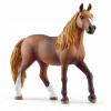 Schleich 13953 - Peruánsky Paso Mare