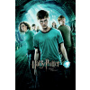Umelecká tlač Harry Potter - Fenixov rád, 26.7 × 40 cm