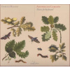 Antonio de Cabezón: Music for Keyboard (CD) (GLOSSA)