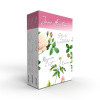 Pýcha a předsudek / Rozum a cit / Emma (BOX 3 knihy) - Jane Austen