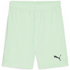 Puma | teamGOAL Shorts | zelená| S