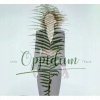 Filipová Lenka - Oppidum CD
