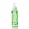 Fleshlight FleshWash 100 ml