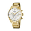 Pánske hodinky FESTINA Timeless Chronograph F20633/1